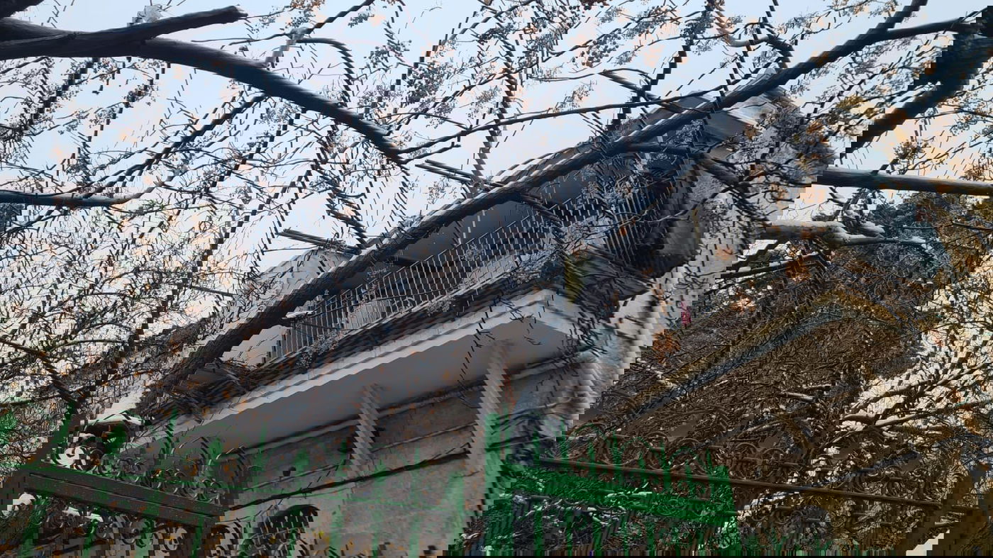 אלו הן בובות השלג של הילדים הירושלמים