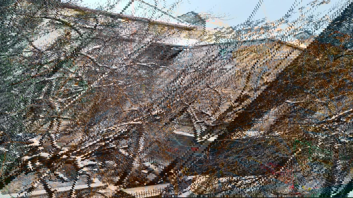 אלו הן בובות השלג של הילדים הירושלמים