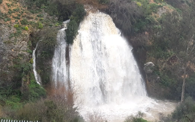 תיעוד מרהיב: הזרימה האדירה במפל נחל עיון