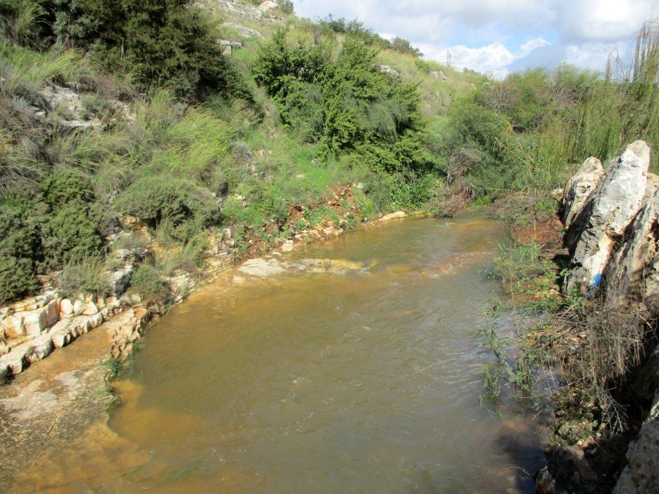 טיול לנחלים הסמוכים לראש העין ונחשונים