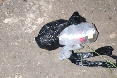 הכלב המשטרתי איתר שני מטעני צינור; צפו