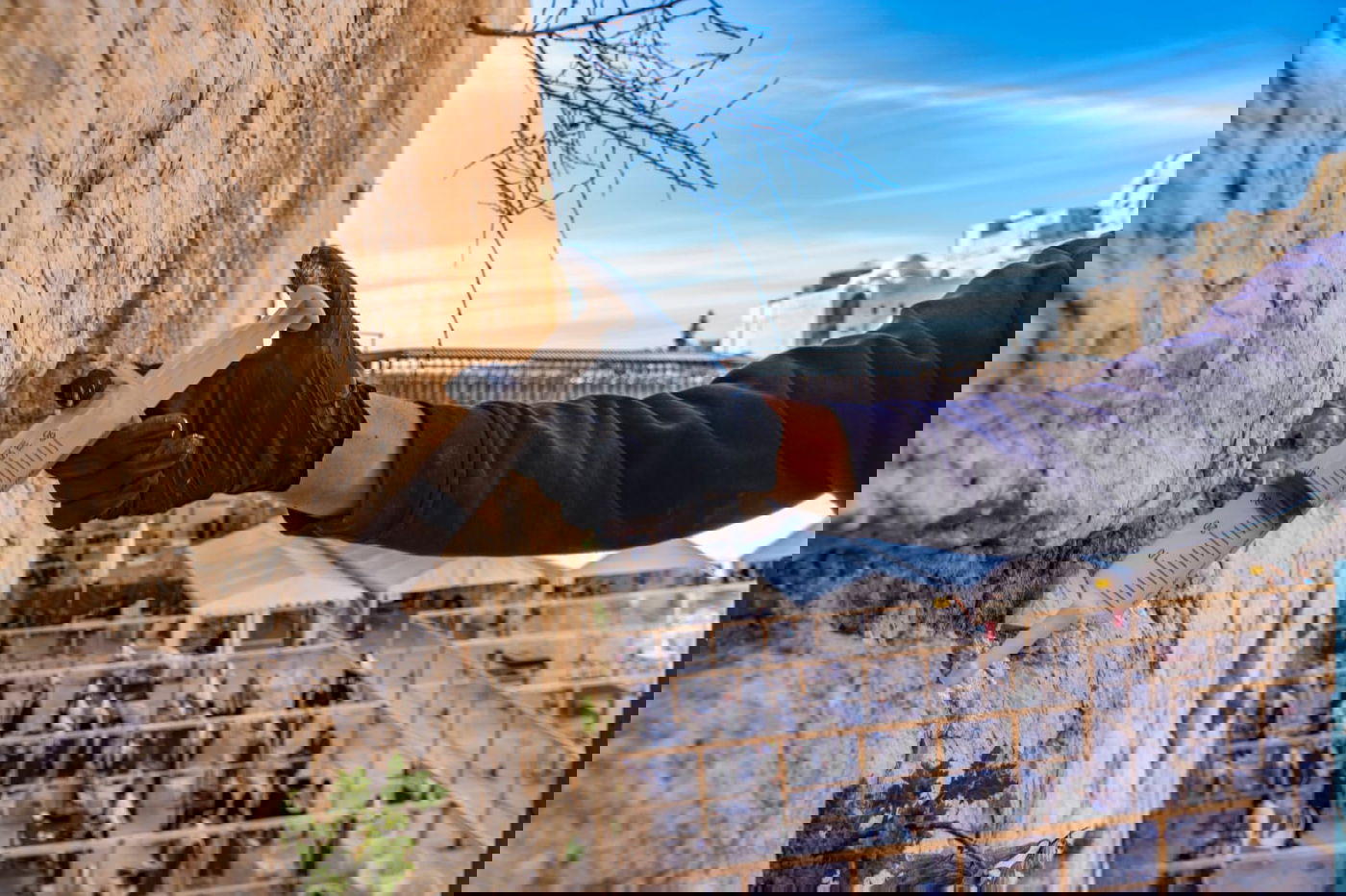 כך שומרים על בריאות אבני הכותל המערבי