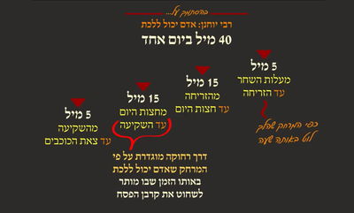 מסכת פסחים, דף צ"ג • סיכום והמחשה של הדף היומי