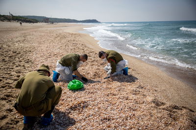 מנקים את החופים מזיהום הזפת