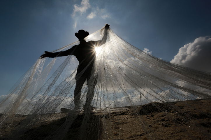 בגלל הזפת: אסור לשווק דגים מהים התיכון