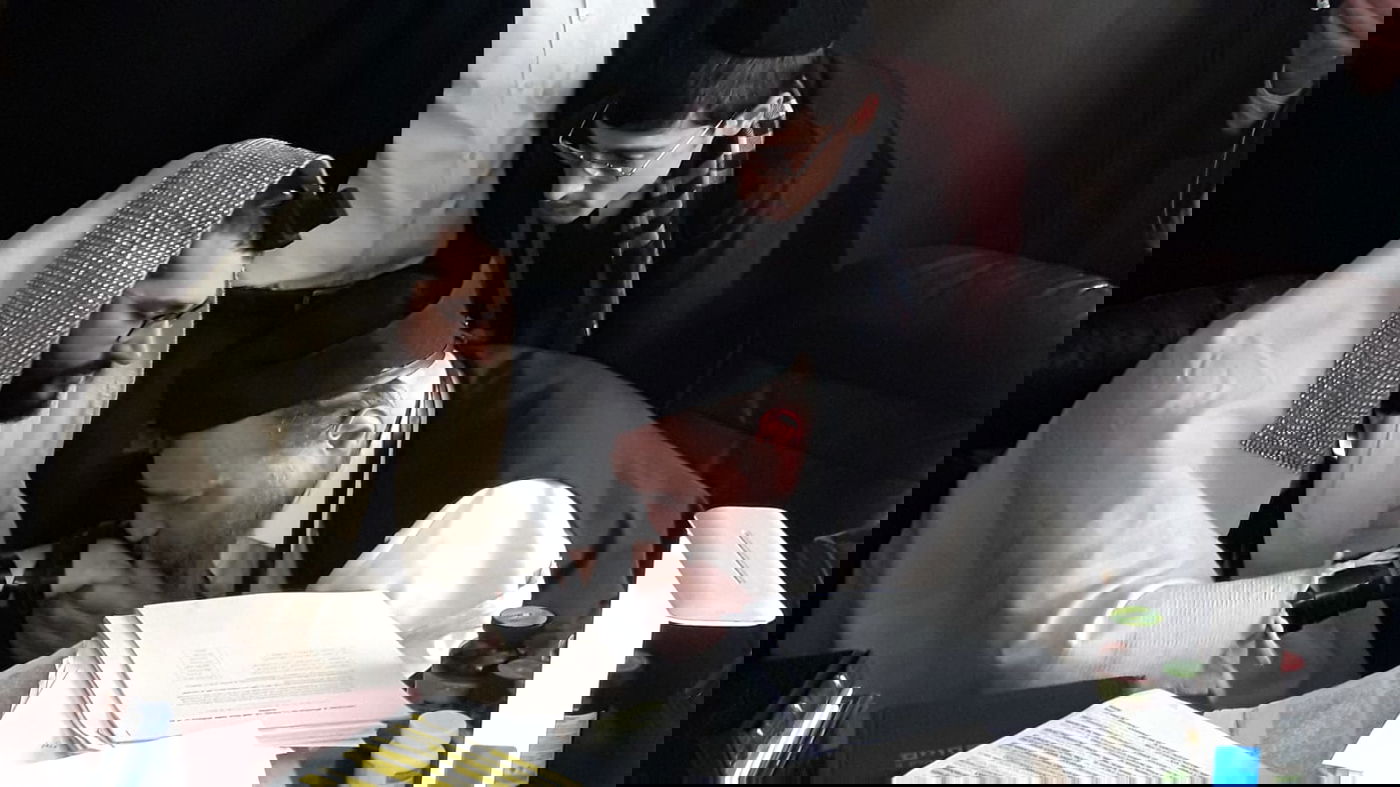 זופניק בכיכר • כל התמונות והנייעס של השבוע