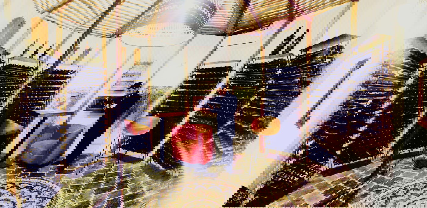 זופניק בכיכר • כל התמונות והנייעס של השבוע