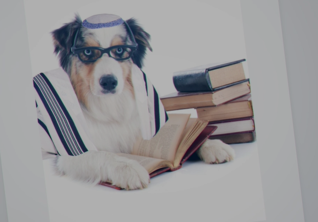 מתוך סרטון הקמפיין