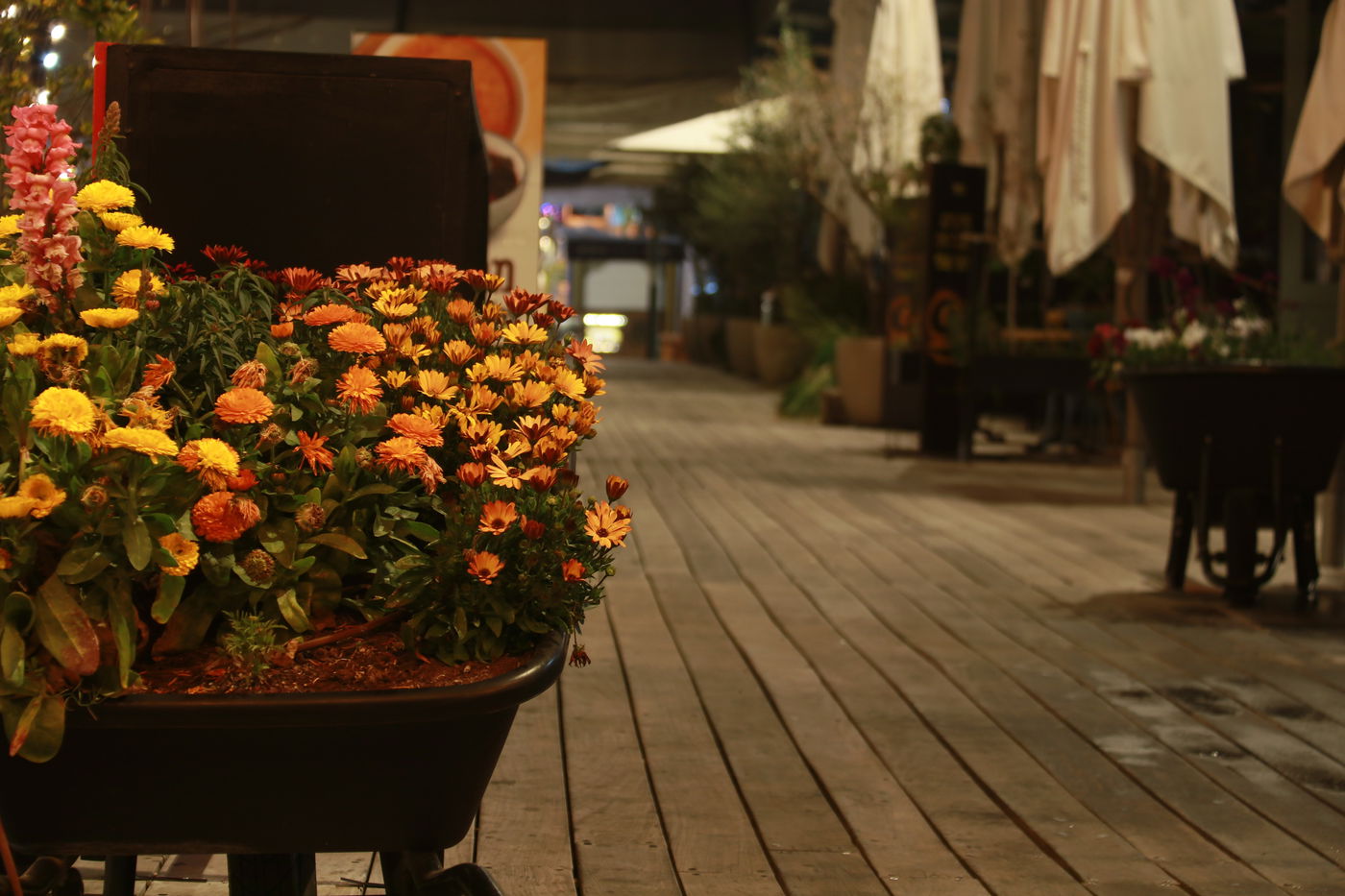 'מתחם התחנה' כפי שעוד לא ראיתם • צפו