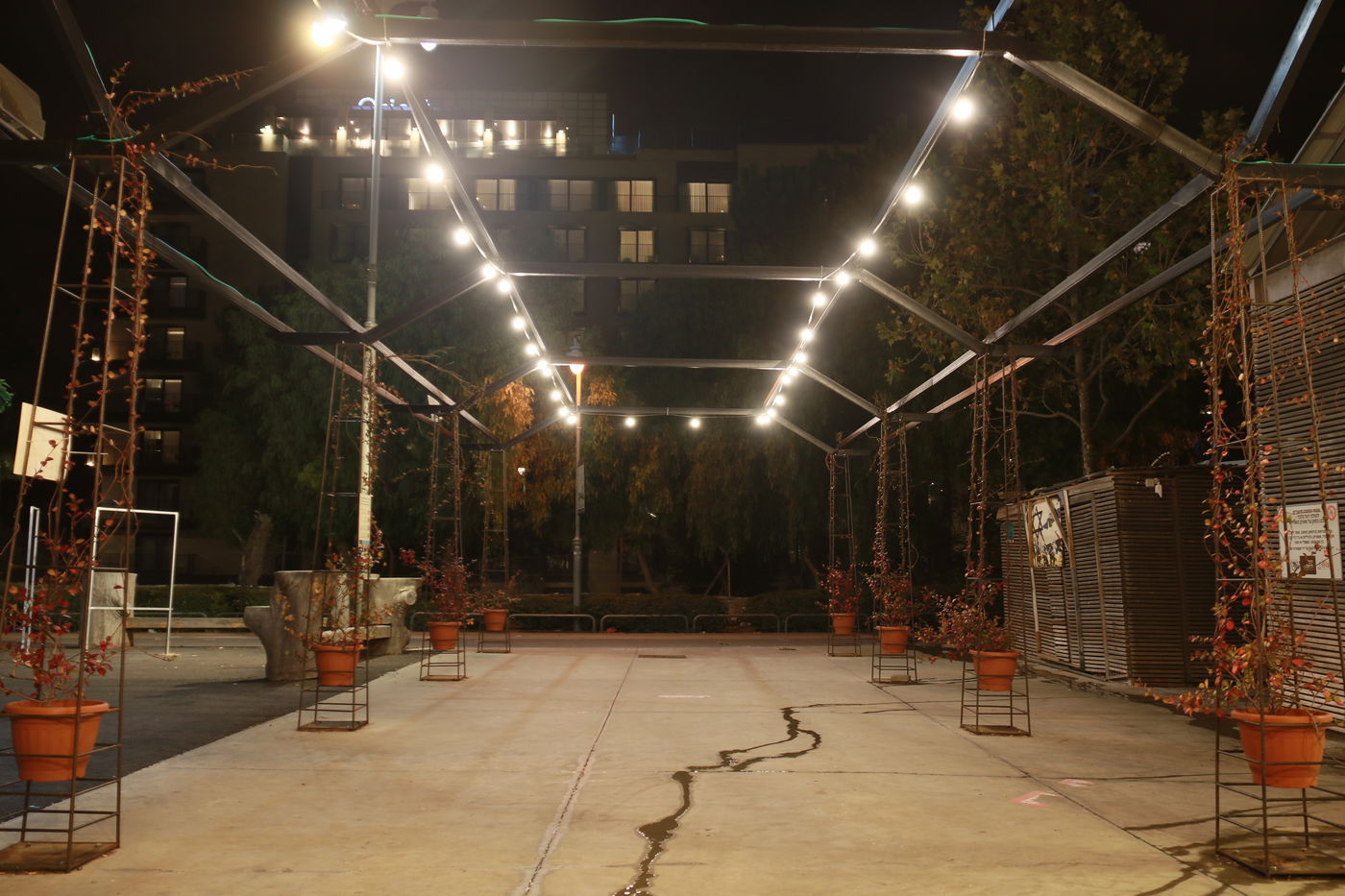 'מתחם התחנה' כפי שעוד לא ראיתם • צפו