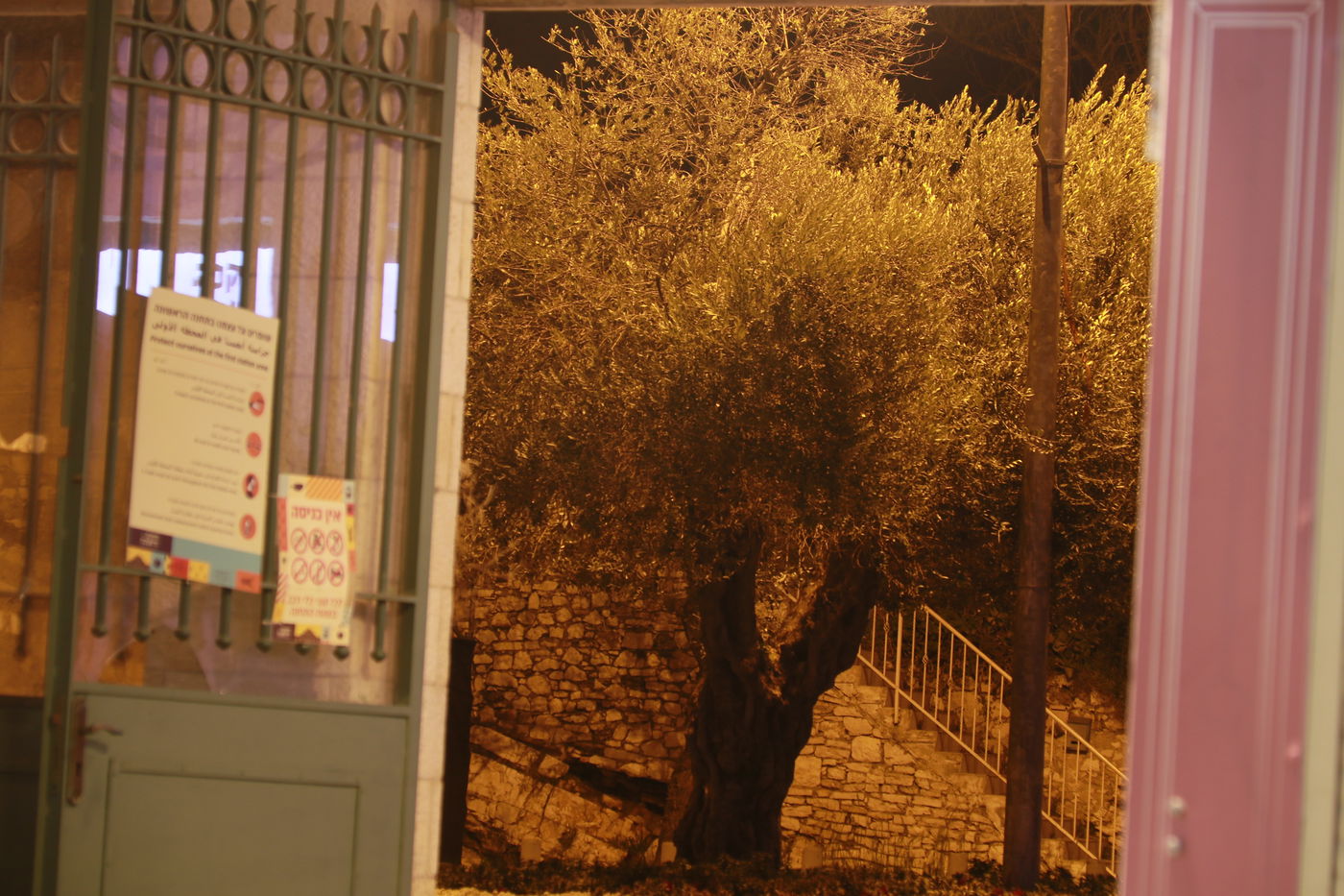 'מתחם התחנה' כפי שעוד לא ראיתם • צפו