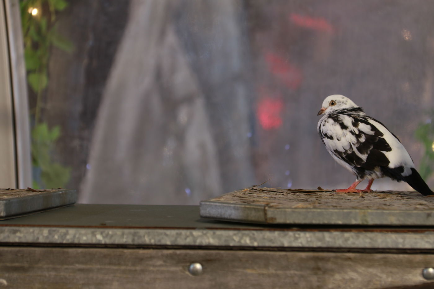 'מתחם התחנה' כפי שעוד לא ראיתם • צפו