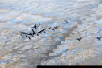 מפציצים אמריקאים