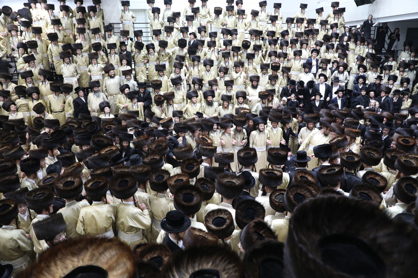 שמחת החתונה בחצרות תולדות אהרן-מישקולץ