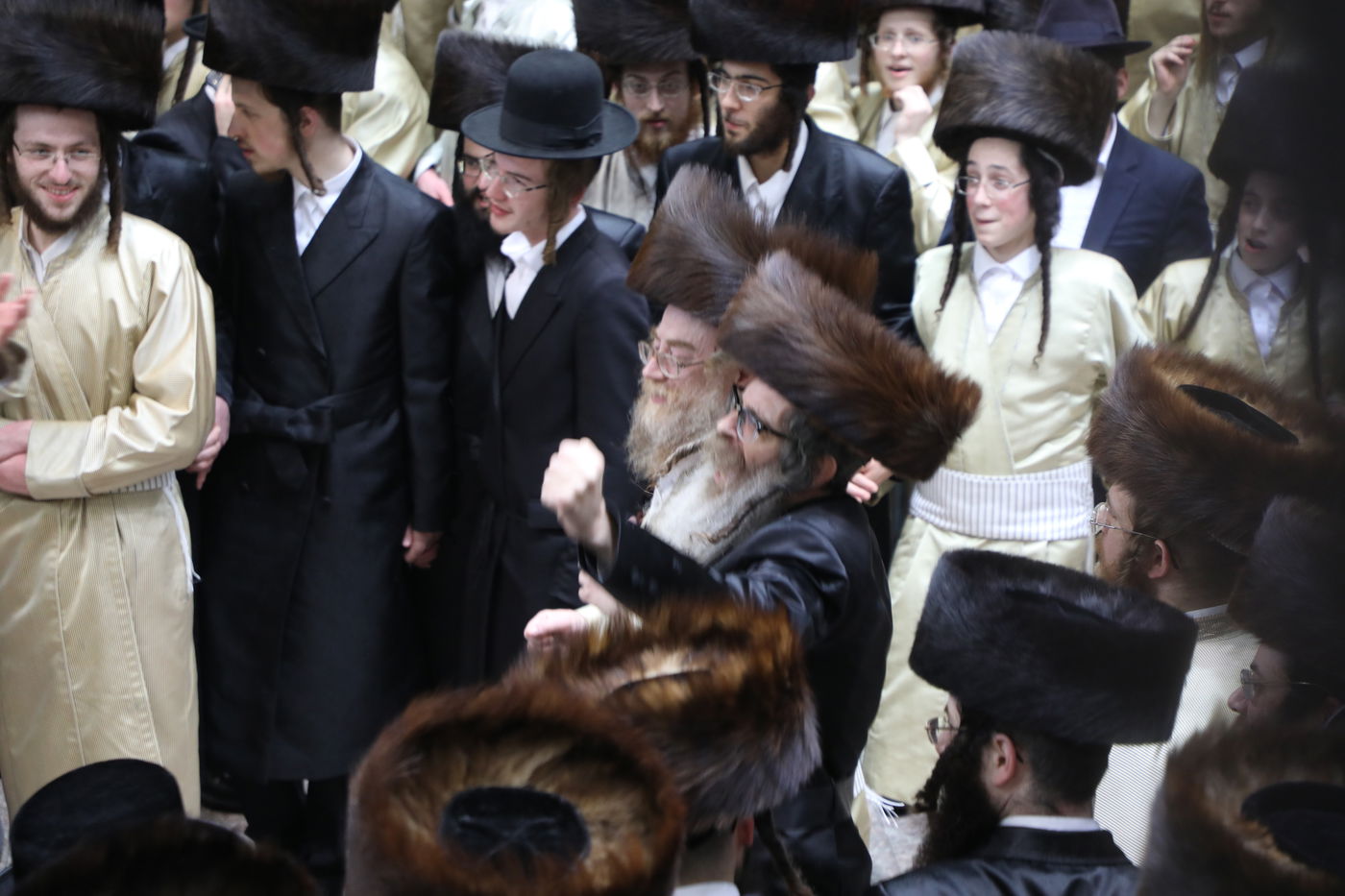 שמחת החתונה בחצרות תולדות אהרן-מישקולץ