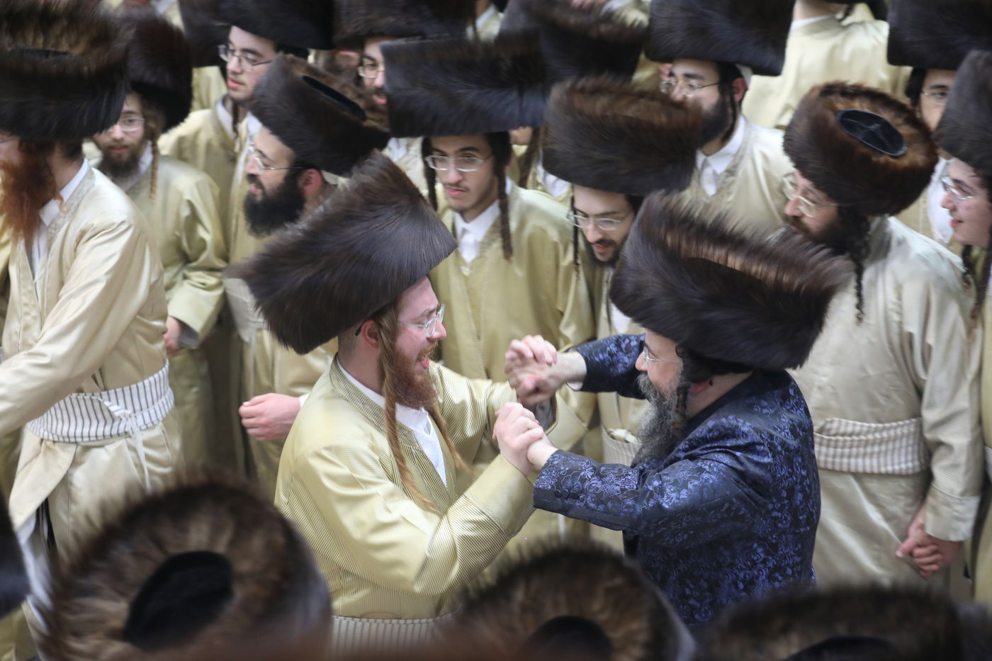 שמחת החתונה בחצרות תולדות אהרן-מישקולץ