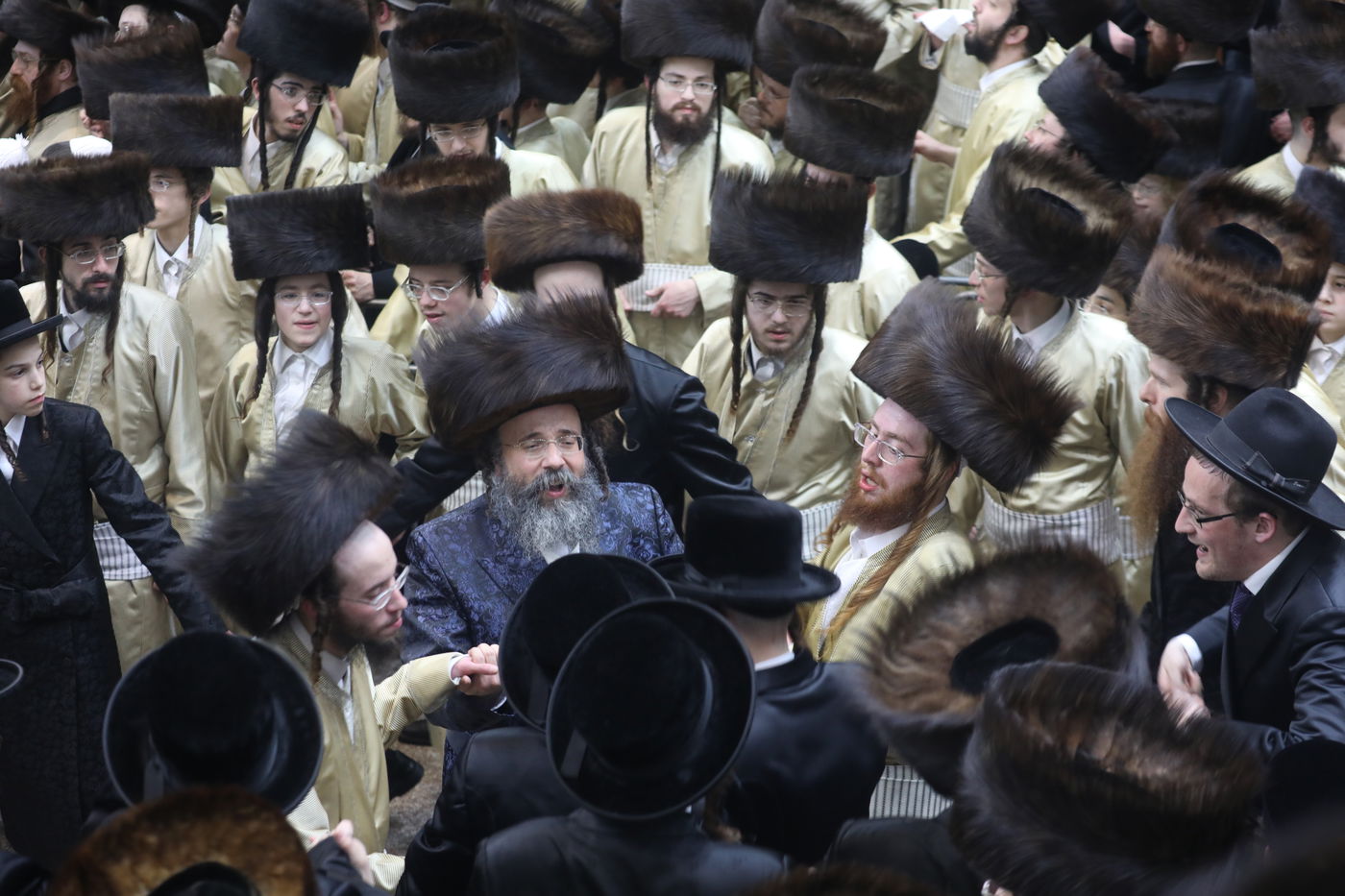 שמחת החתונה בחצרות תולדות אהרן-מישקולץ