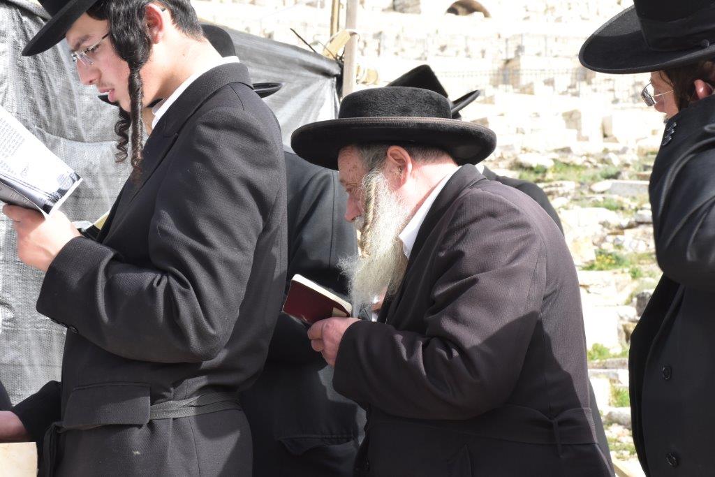 תיעוד: המונים בהילולת הרה"ק רבי גרשון מקיטוב זיע"א