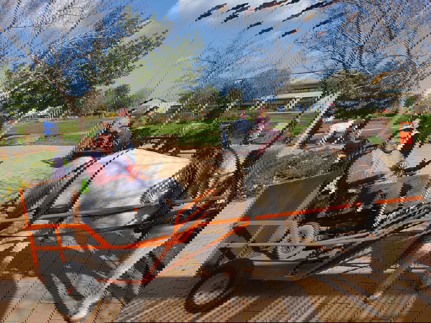 כך נראתה יציאת המוגבלים לטבע בתום שנה שהיו נצורים בהוסטל