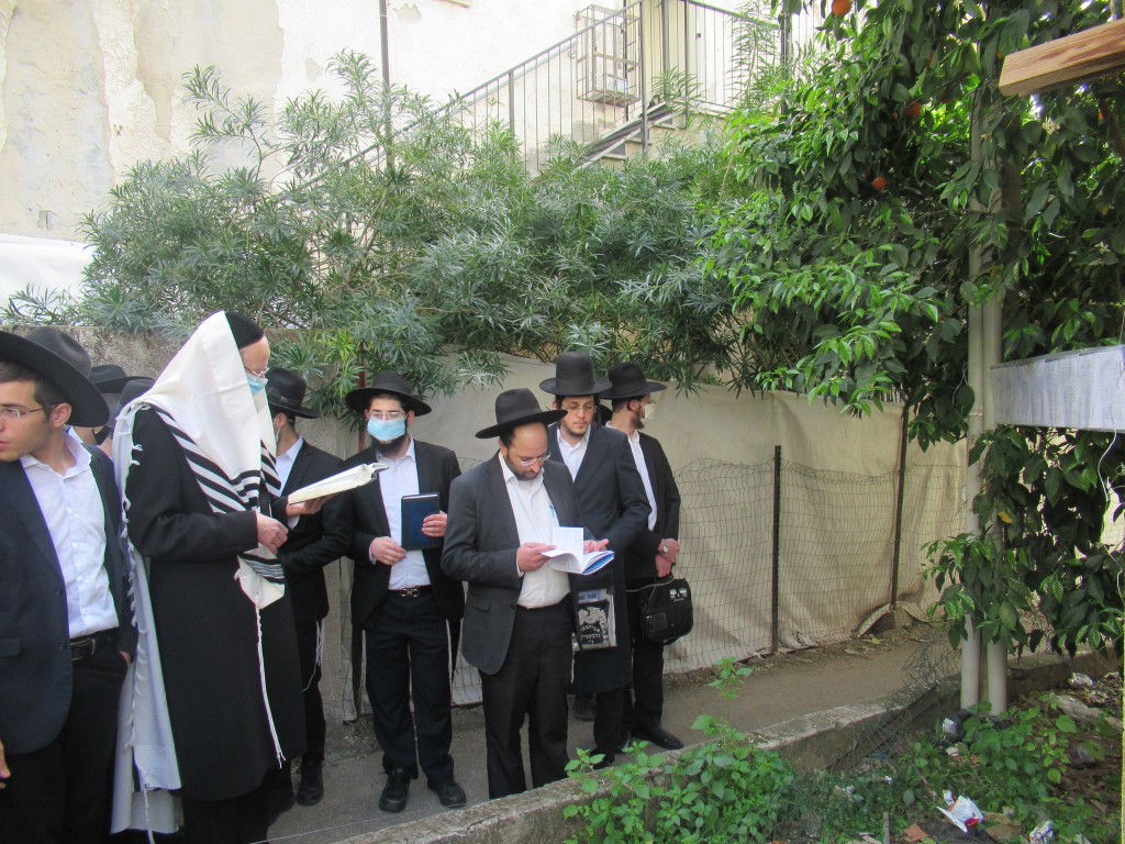 ברכת האילנות בישיבת קרית מלך • תיעוד