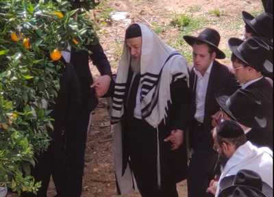 הרב אברהם יצחק קוק