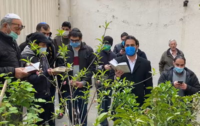 'ברכת האילנות' ברחובותיה של טהרן • צפו