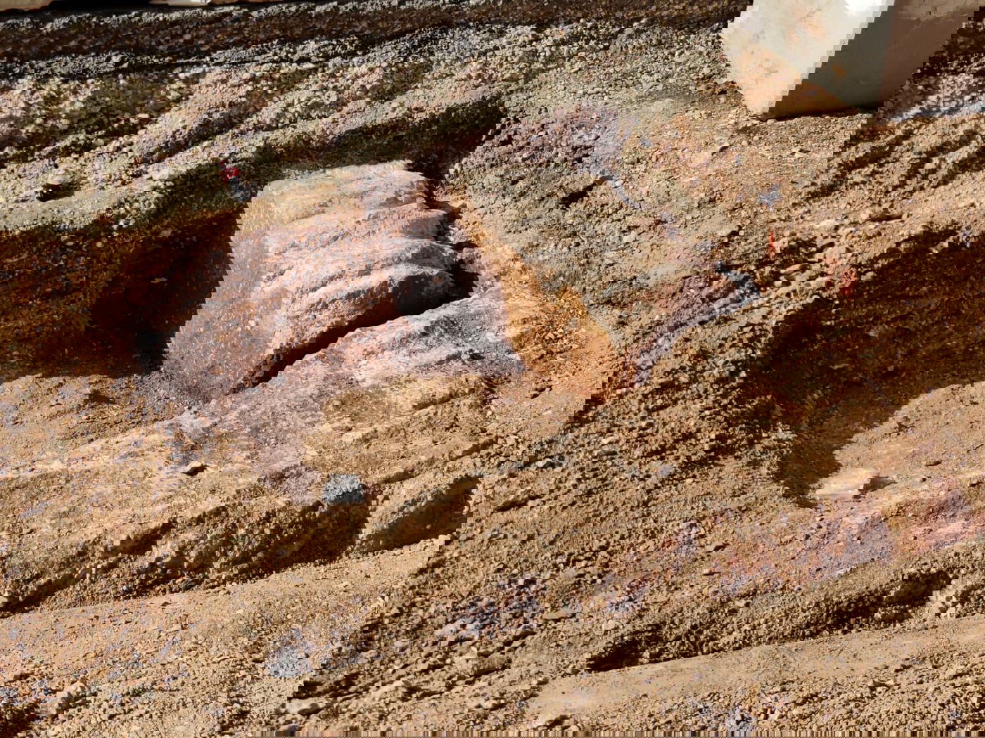 העתיקות נחשפו - 'אתרא קדישא' אישר להמשיך בעבודות