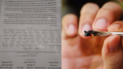 רבני לייקווד מאיימים: "המשתמש או מוכר קנאביס - ייענש"