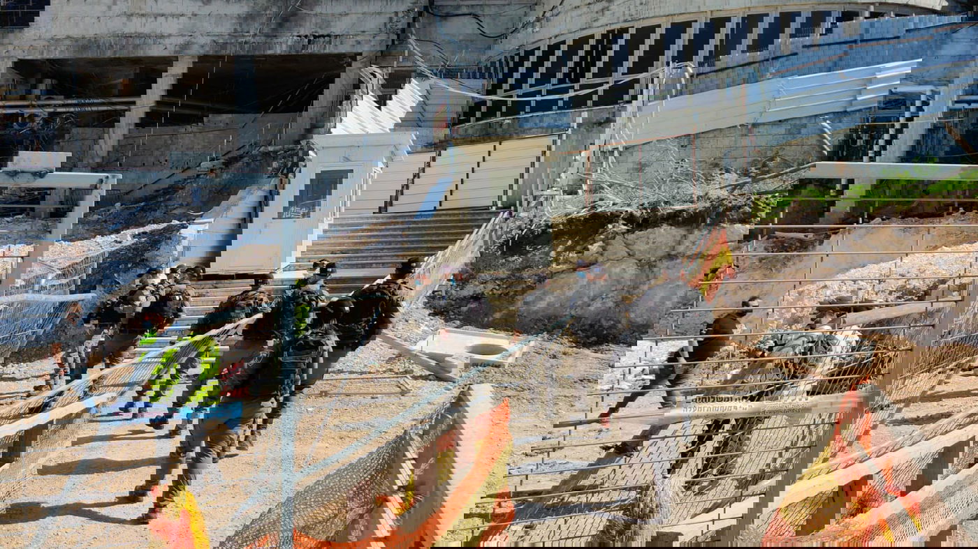 ההפגנה בבר אילן, היום