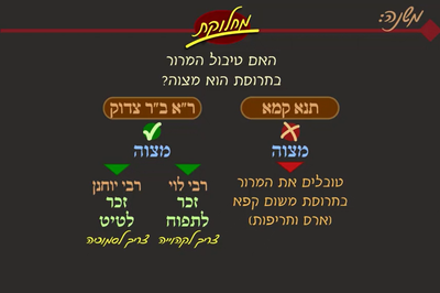 מסכת פסחים, דף קט"ז • סיכום והמחשה של הדף היומי