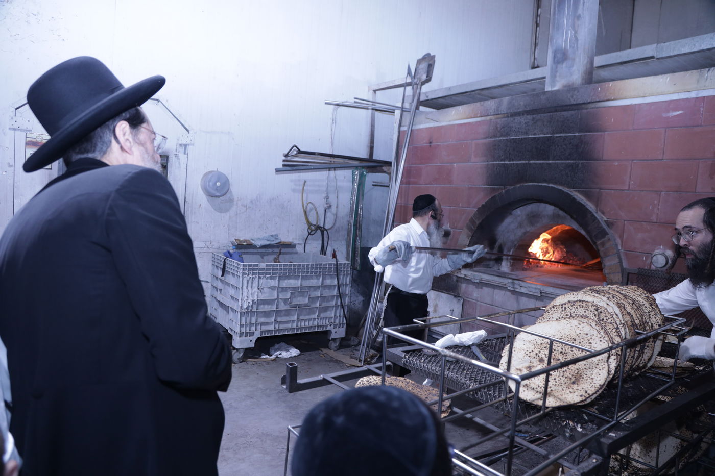 ה'חבורה' של הפוסק הגרב"צ קוק • תיעוד