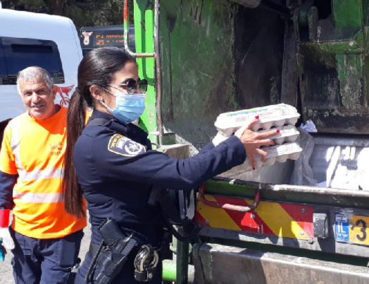 השמדת הביצים