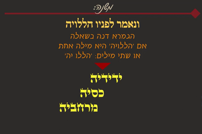 מסכת פסחים, דף קי"ז • סיכום והמחשה של הדף היומי