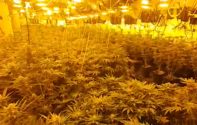 מעבדת הסמים