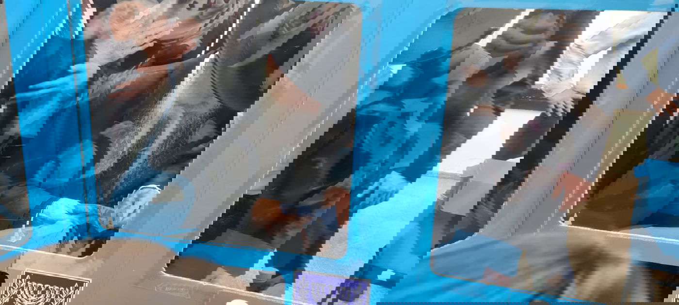 ראש הישיבה צעד 483 מטרים כדי להצביע