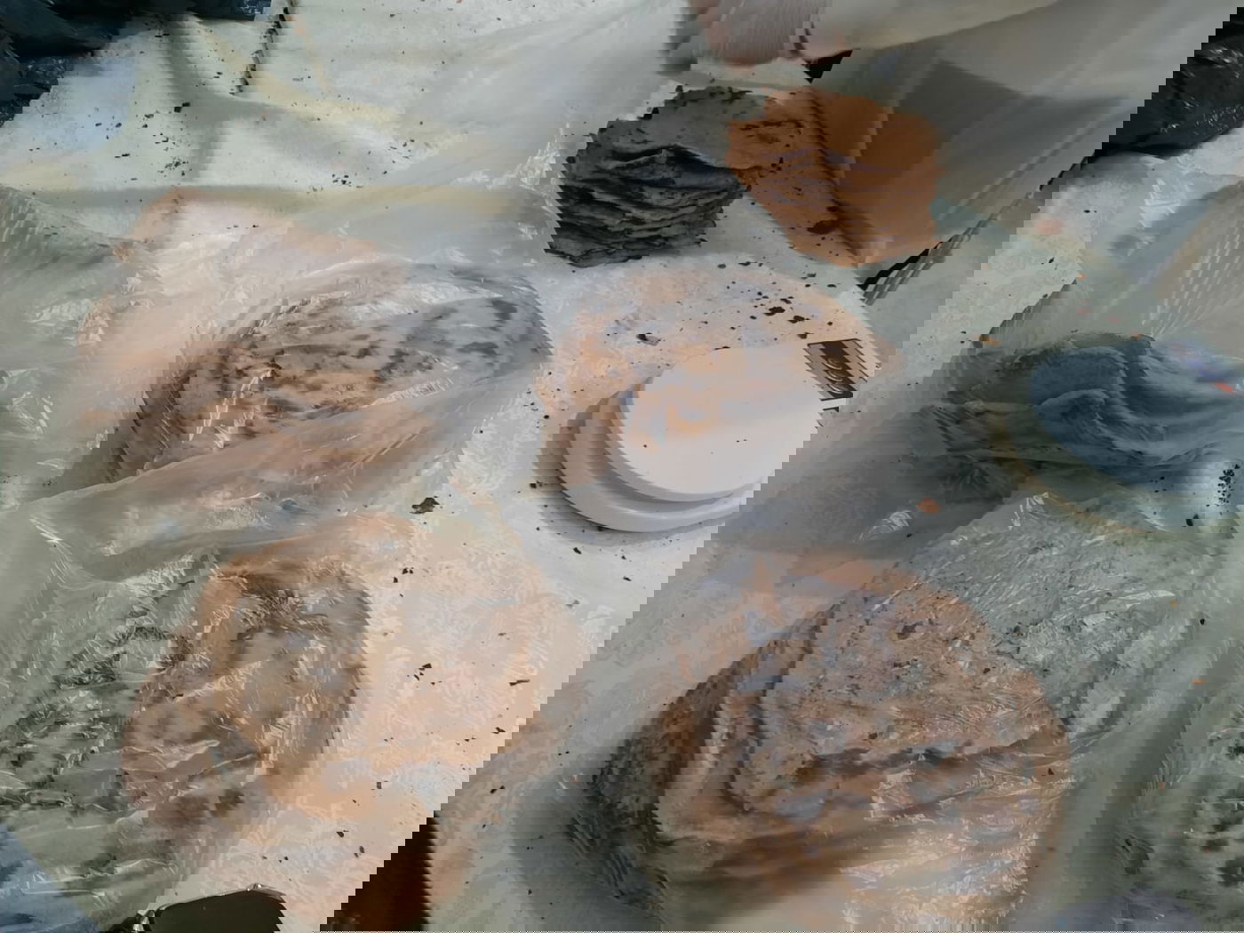 הקהילה הבני ברקית אפתה מצות • תיעוד