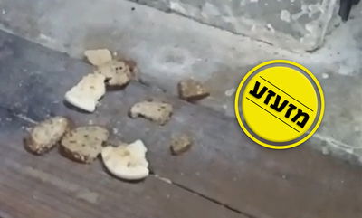 חמץ הושלך בפתח בתי כנסת; "פשע שנאה בריוני"