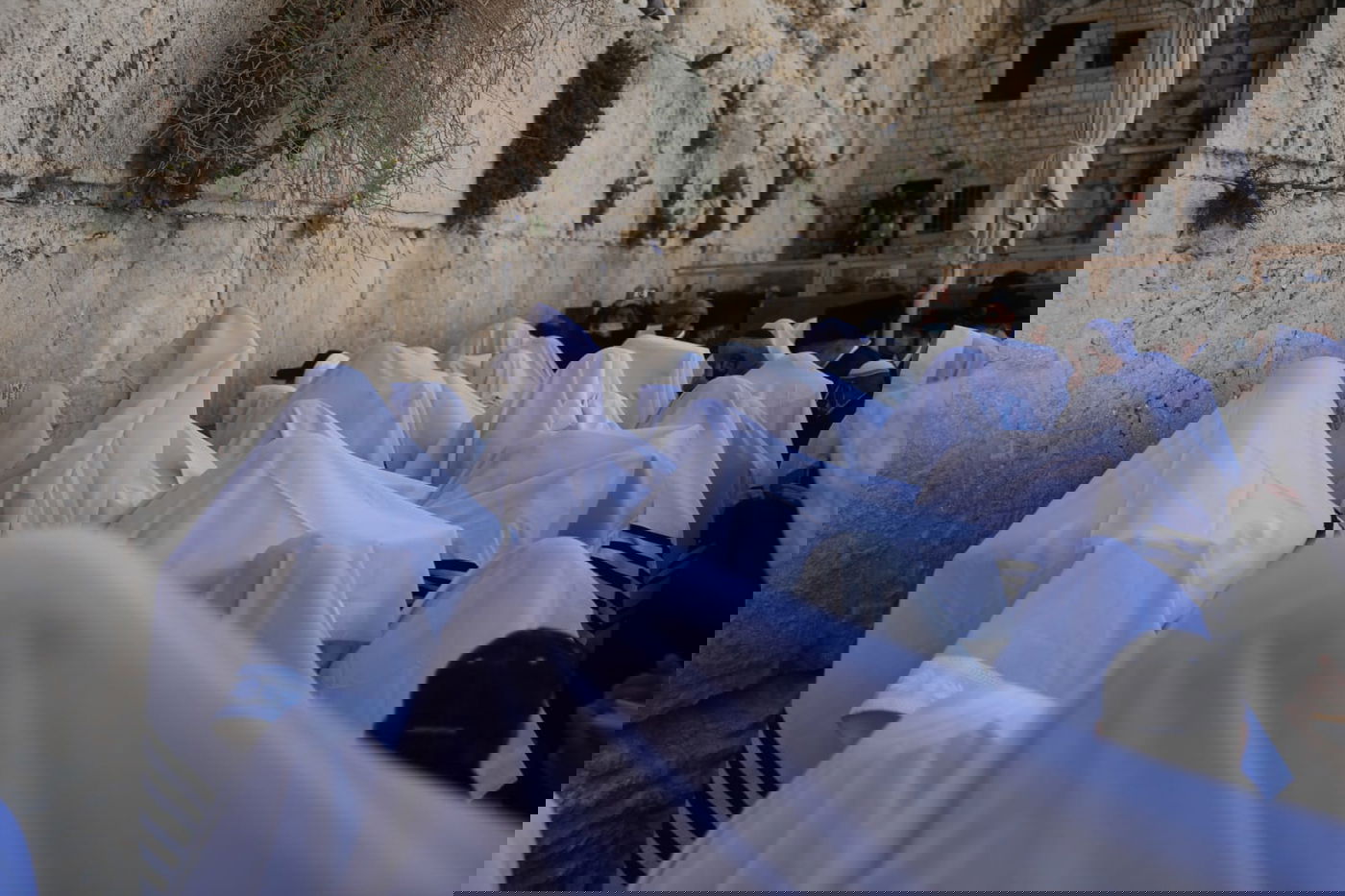 שידור חוזר: מעמד 'ברכת כהנים' בכותל המערבי • צפו