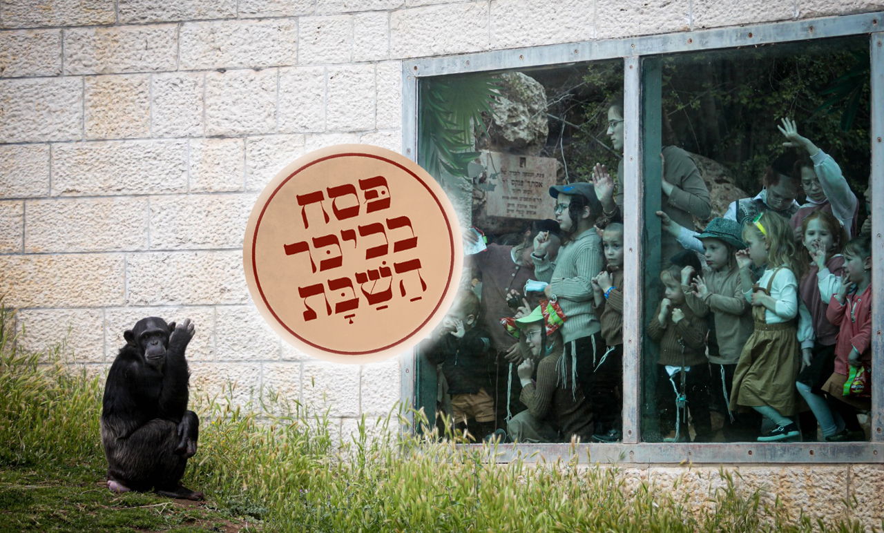 גן החיות התנ"כי - בפסח; תיעוד נדיר ומיוחד