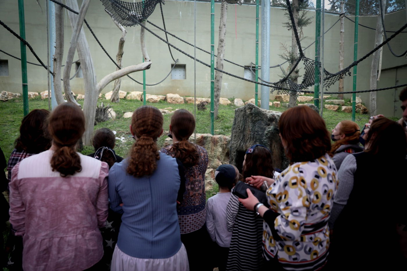 גן החיות התנ"כי - בפסח; תיעוד נדיר ומיוחד