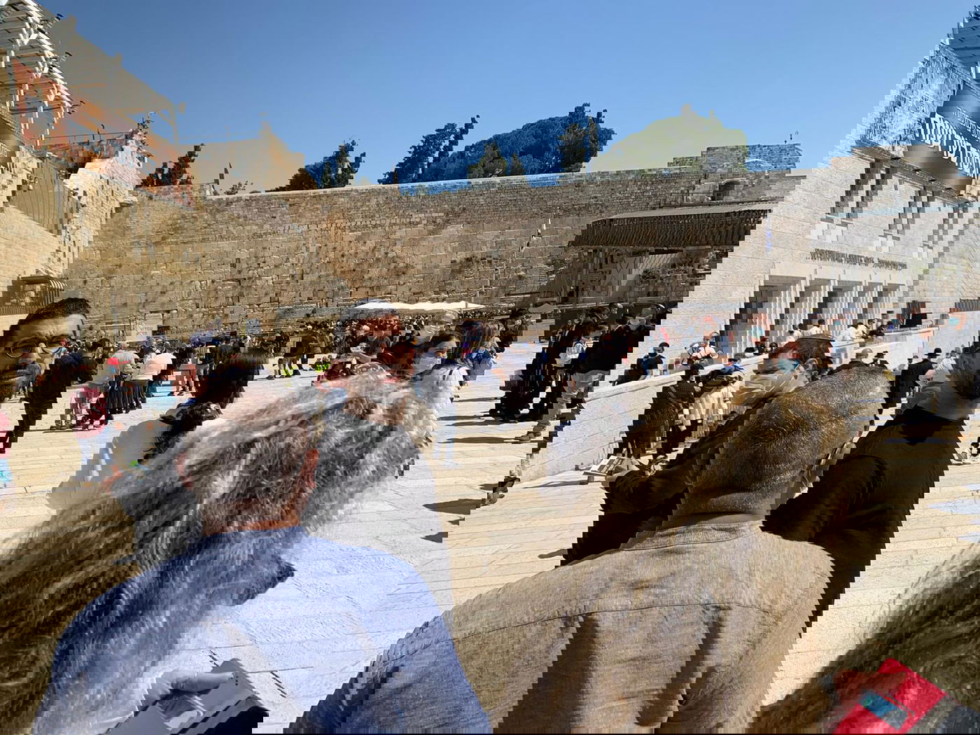 זופניק בכיכר • כל התמונות והנייעס של השבוע