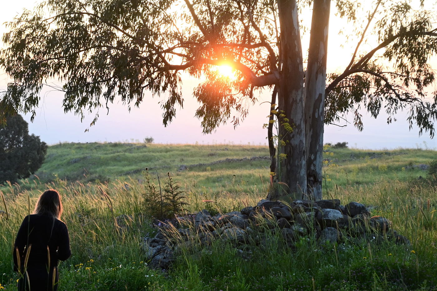 התחזית: תחול התקררות; צפוי גשם מקומי