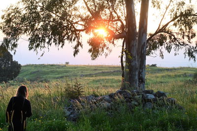 התחזית: תחול התקררות; צפוי גשם מקומי