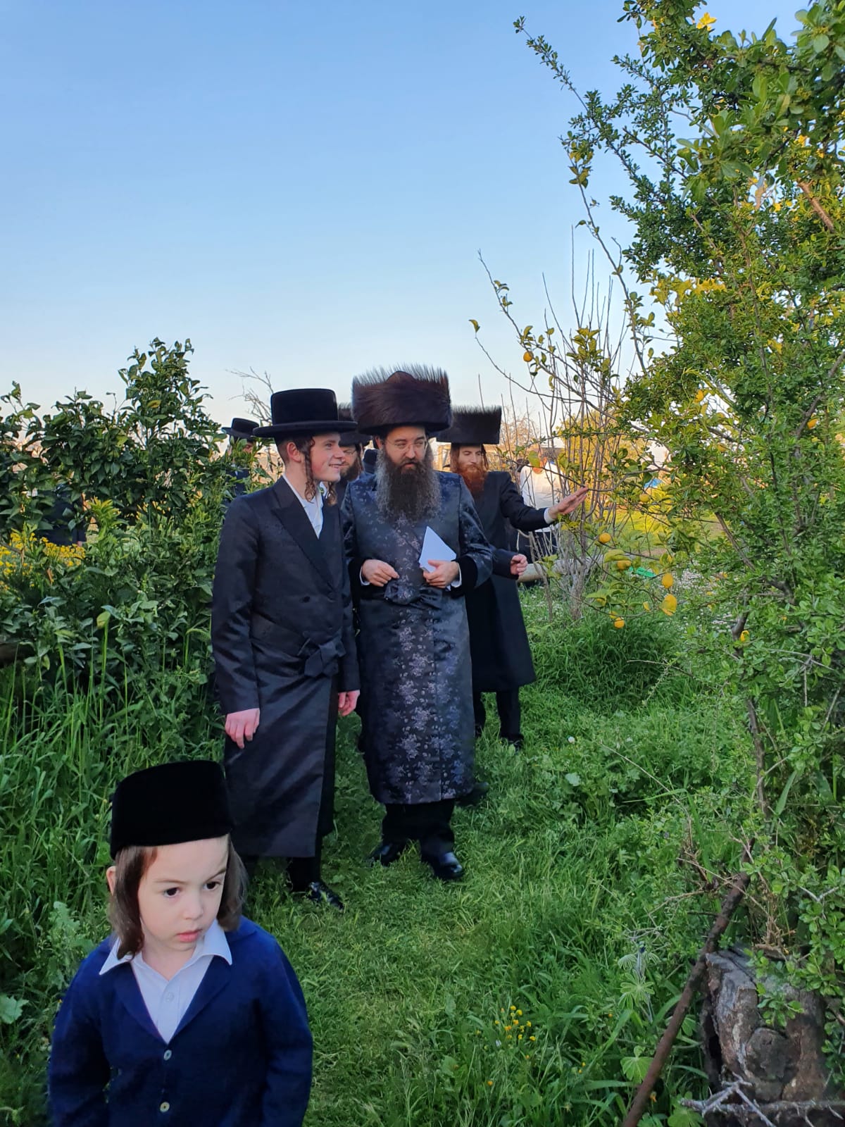 מראות חג הפסח בסאדיגורה ירושלים • תיעוד