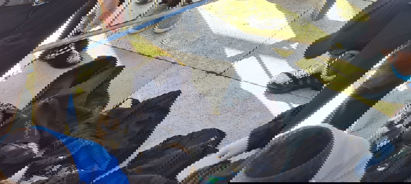 איך מפנים את קופות הצדקה בכותל? • צפו