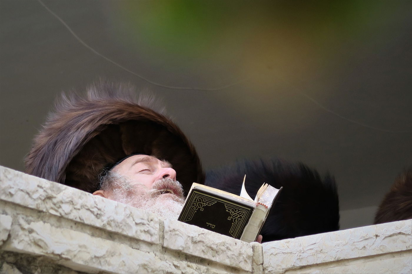 בביתר עילית: הרבי מהארנסטייפל בברכת האילנות