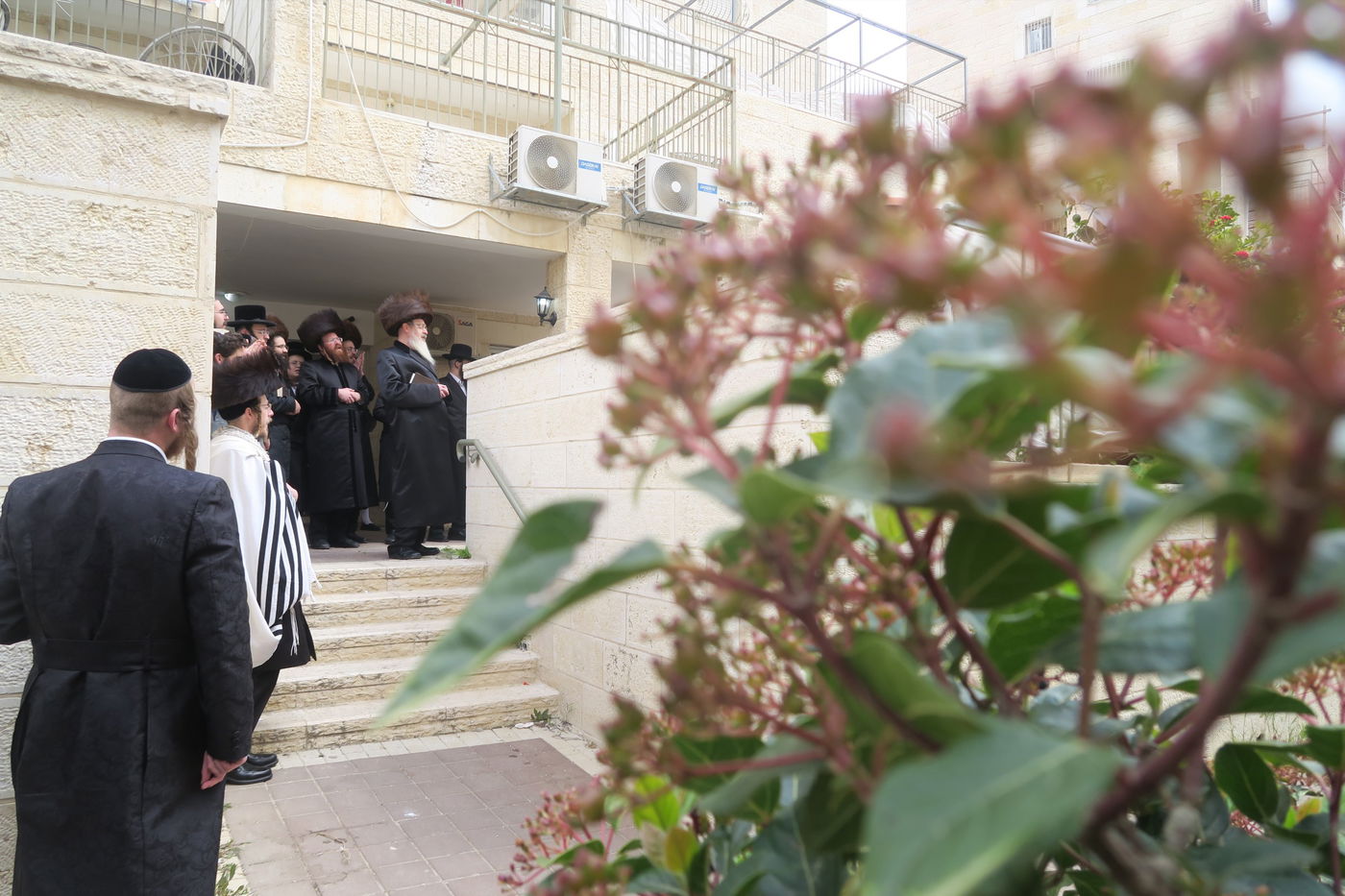 בביתר עילית: הרבי מהארנסטייפל בברכת האילנות