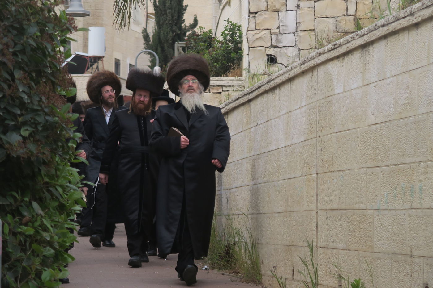 בביתר עילית: הרבי מהארנסטייפל בברכת האילנות