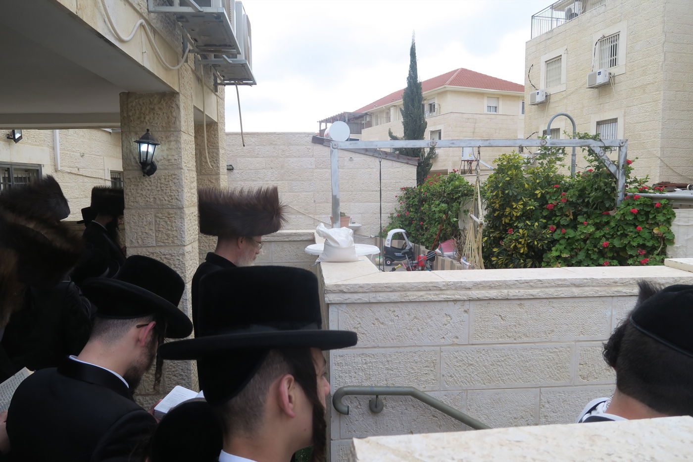 בביתר עילית: הרבי מהארנסטייפל בברכת האילנות