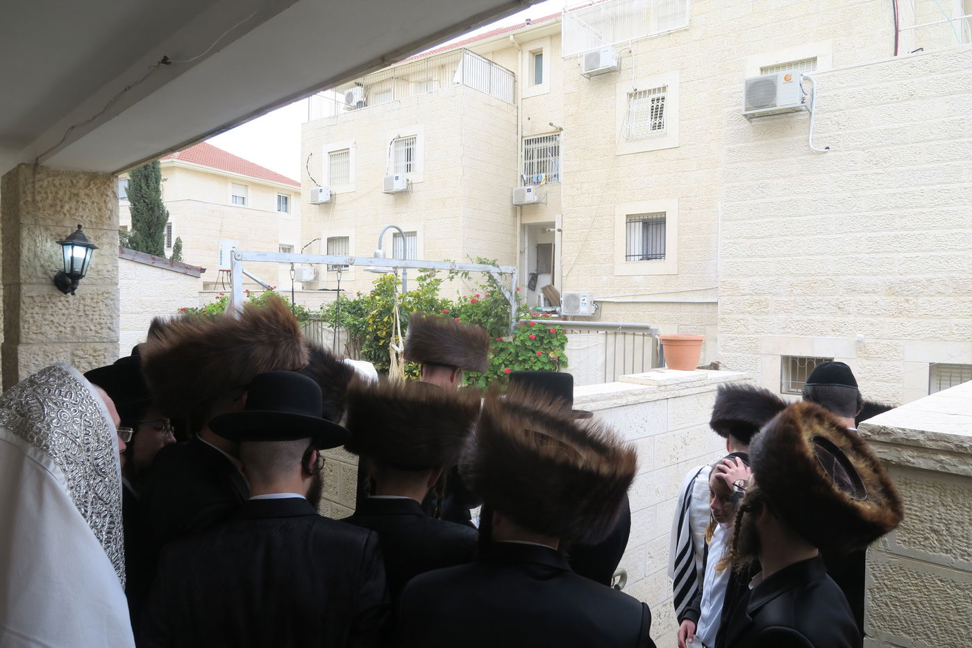 בביתר עילית: הרבי מהארנסטייפל בברכת האילנות